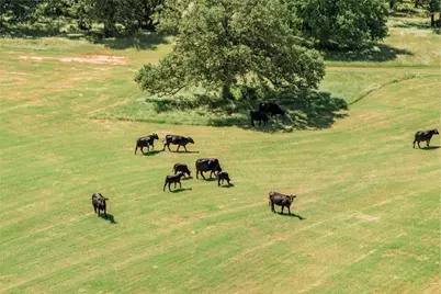 5200 Cross Timbers Road, Flower Mound, TX 75022 - Photo 6