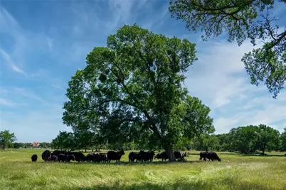 5200 Cross Timbers Road, Flower Mound, TX 75022 - Photo 16