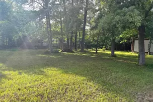 22049 Drift Wood Dr, Frankston, TX 75763 - Photo 2