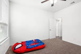 2812 Lilly Ln, Anna, TX 75409 - Photo 34