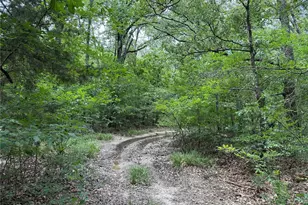 15195 Farm Road 71 E, Sulphur Bluff, TX 75481 - Photo 8