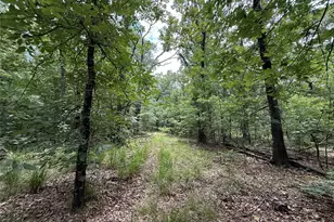 15195 Farm Road 71 E, Sulphur Bluff, TX 75481 - Photo 16