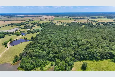 15195 Farm Road 71 E, Sulphur Bluff, TX 75481 - Photo 6