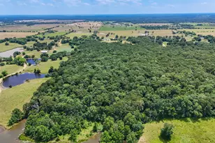 15195 Farm Road 71 E, Sulphur Bluff, TX 75481 - Photo 6