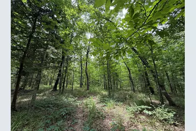 15195 Farm Road 71 E, Sulphur Bluff, TX 75481 - Photo 12