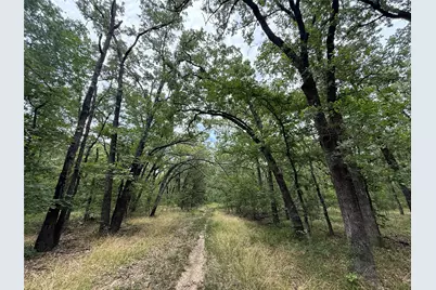 15195 Farm Road 71 E, Sulphur Bluff, TX 75481 - Photo 10