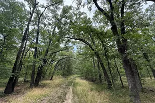 15195 Farm Road 71 E, Sulphur Bluff, TX 75481 - Photo 10