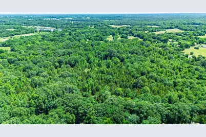 11591 Farm Road 269 S, Pickton, TX 75471 - Photo 8