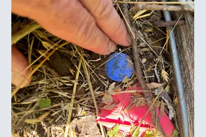 Tbd Fm 731, Burleson, TX 76028 - Photo 10