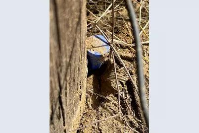 Tbd Fm 731, Burleson, TX 76028 - Photo 36