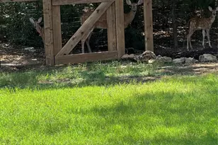 312 Lone Tree Ln, Hickory Creek, TX 75065 - Photo 34