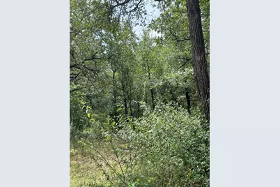 Tbd Fm 1658, Bridgeport, TX 76426 - Photo 18