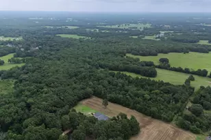 2062 VZ County Rd 1803, Grand Saline, TX 75140 - Photo 26