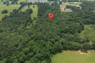 2062 VZ County Rd 1803, Grand Saline, TX 75140 - Photo 12