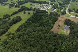 2062 VZ County Rd 1803, Grand Saline, TX 75140 - Photo 28