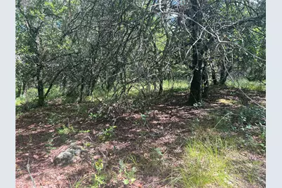 Lot 479 Bluffs Avenue, Bowie, TX 76230 - Photo 10