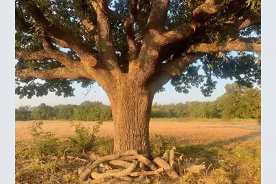 Tbd County Road 4410, Commerce, TX 75428 - Photo 20