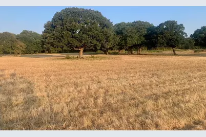 Tbd County Road 4410, Commerce, TX 75428 - Photo 4