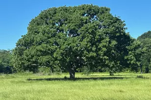 Tbd County Road 4410, Commerce, TX 75428 - Photo 1
