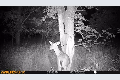 131 Dugan Chapel Rd Road, Bells, TX 75414 - Photo 8