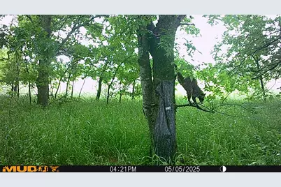 131 Dugan Chapel Rd Road, Bells, TX 75414 - Photo 12