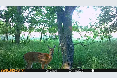 131 Dugan Chapel Rd Road, Bells, TX 75414 - Photo 10