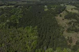 0 Hwy 77 Lot 1 E, Atlanta, TX 75551 - Photo 10