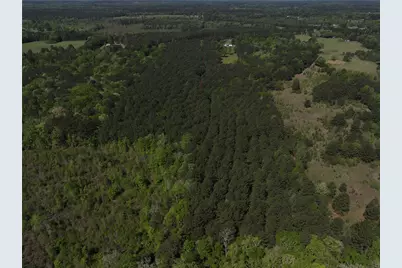 0 Highway 77 Lot 1 E, Atlanta, TX 75551 - Photo 8