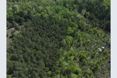 0 Highway 77 Lot 1 E, Atlanta, TX 75551 - Photo 6