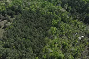 0 Hwy 77 Lot 1 E, Atlanta, TX 75551 - Photo 6