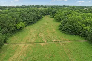 4195 Co Rd 1001, McKinney, TX 75071 - Photo 8