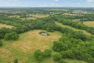 4195 Co Rd 1001, McKinney, TX 75071 - Photo 24