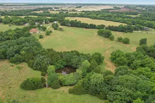 4196 Co Rd 1001, McKinney, TX 75071 - Photo 4