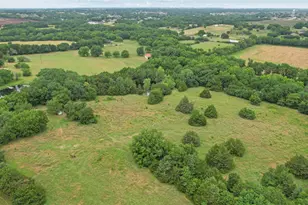 4196 Co Rd 1001, McKinney, TX 75071 - Photo 6