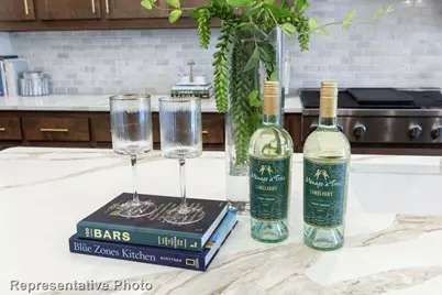 4114 Windy Point Road, Oak Point, TX 75068 - Photo 4