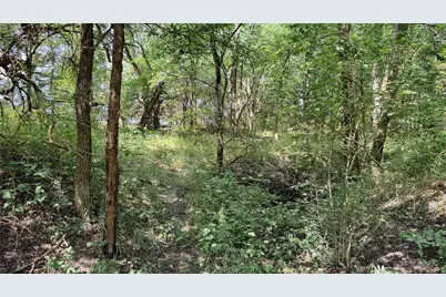 Tbd County Road 632, Blue Ridge, TX 75424 - Photo 40