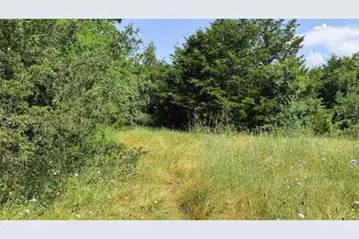 Tbd County Road 632, Blue Ridge, TX 75424 - Photo 26