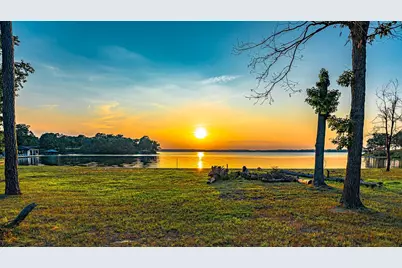 Lot 5 Private Road 52605, Pittsburg, TX 75686 - Photo 6