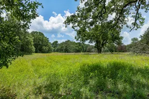 365 Fcr 971, Mexia, TX 76667 - Photo 38