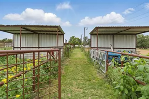 Tbd County Road 392, Stephenville, TX 76401 - Photo 12
