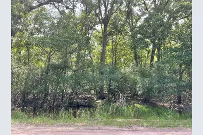 Tbd County Road 750, Thornton, TX 76687 - Photo 1