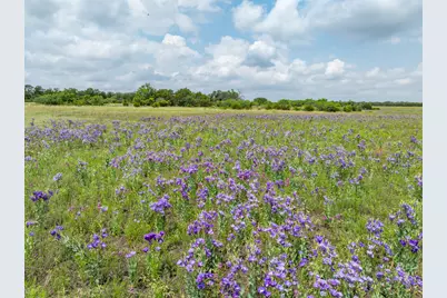 Lot 3 County Road 410, Evant, TX 76525 - Photo 10