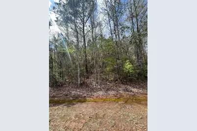 0 Crouch Road #2, Benton, LA 71006 - Photo 6