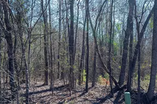 Lots 7 8 9 J Lazarine Fm 130, Hughes Springs, TX 75656 - Photo 6