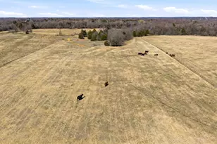 929 County Line Church Rd, Whitesboro, TX 76273 - Photo 28