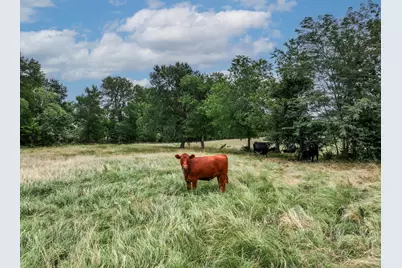 2287 Fm-3132, Klondike, TX 75448 - Photo 6