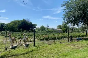 701 FM 45, Richland Springs, TX 76871 - Photo 2