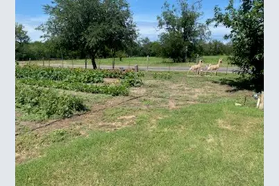 701 Fm 45, Richland Springs, TX 76871 - Photo 12