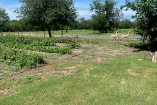 701 FM 45, Richland Springs, TX 76871 - Photo 12