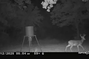 147 Fox Run Rd, Bowie, TX 76230 - Photo 34